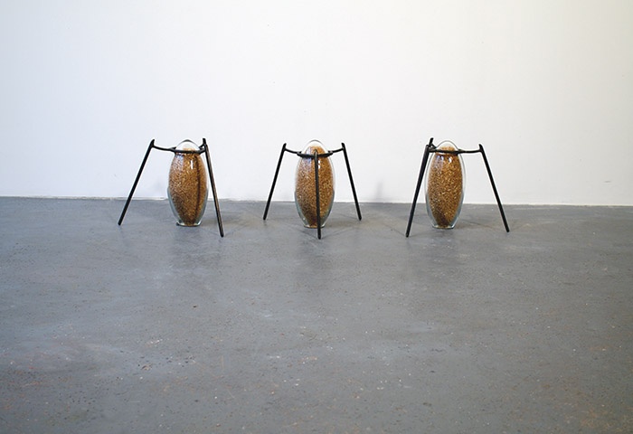 Umut Fakirin Ekmeği - Detay