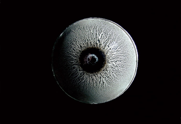 Tepegöz Dünyalar - Detay