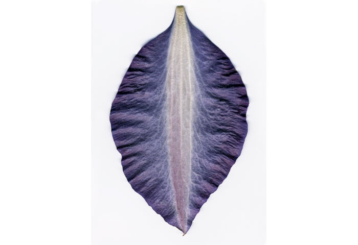 Meryemasması - Detay